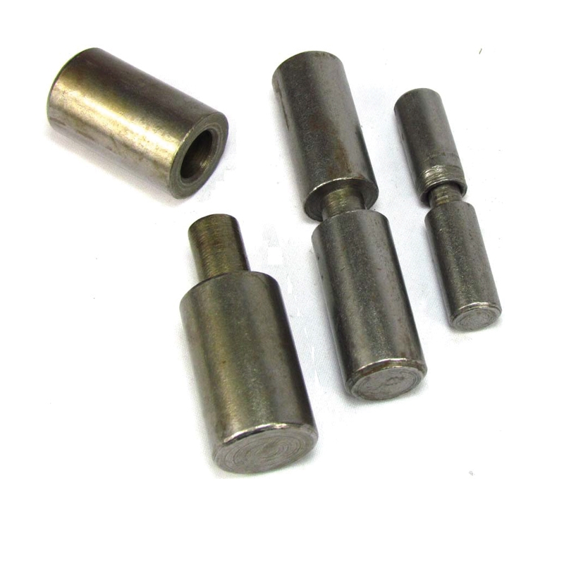 Pivot Hinges(rod Type) Safinat