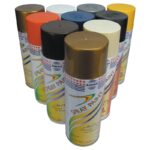 Spray Paint Bottle